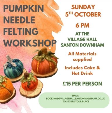 Advert for a pumpkin needle felting workshop on 5th October, including details and pricing.